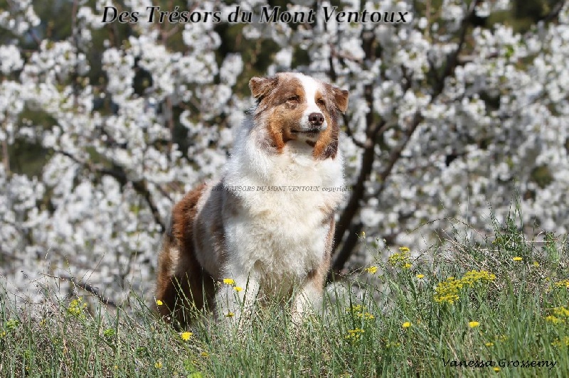 Feeling dite fidjy Of windjana ridge